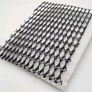 2m-4m Width Hdpe 3D Tri-Planar Composite Drainage Net for Total Project