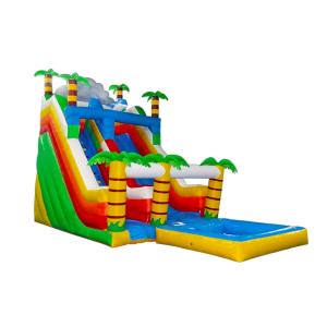 Aldult Outdoor Rental Inflatable Large Water Slides With Bouncy