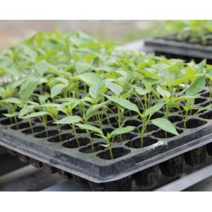 Professional Germination Growing starter grow tray seed trays cells seed