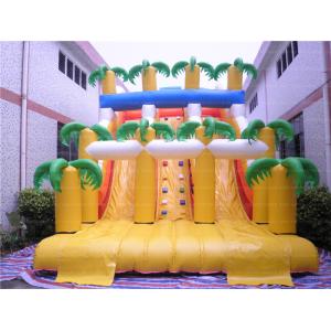 Quality Hottest Tropical Inflatable Slide (CYSL-55) for sale
