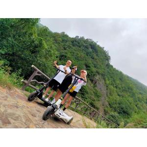 250W Foot Running 3 Wheel Foldable Electric Scooter