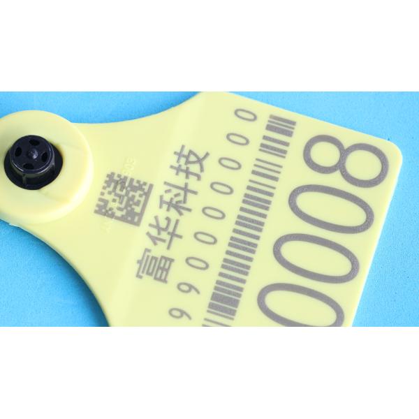 125khz ISO11784/5 FDX - B Rfid Animal Ear Tag For Cattle Sheep Management