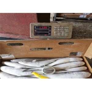 Gutted Block Quick Frozen 500g 1000g Fresh Grey Mullet