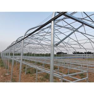 200micron Single Span Greenhouse Agricultural Tropical Climate Greenhouse