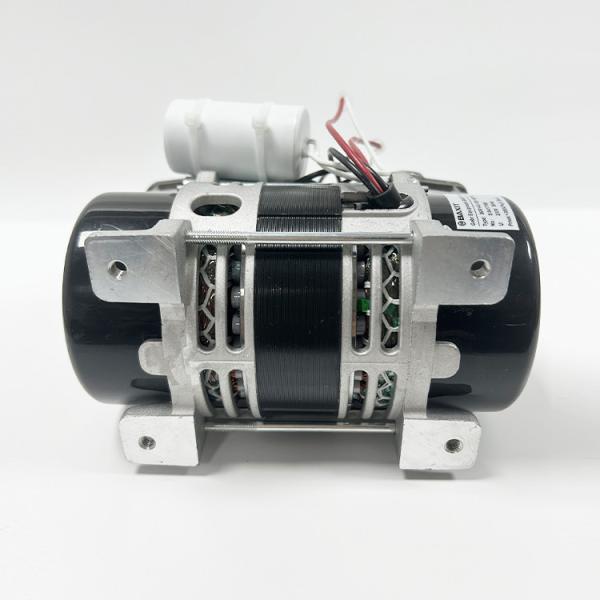 Buy Silent Oil-free Piston Vacuum Pump For AC 110V Or 220V Environments Original Product at wholesale prices