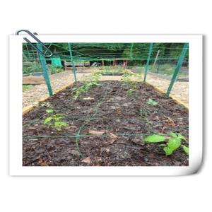 Heavy Duty Climbing Plant Support Net Polyester Nylon Plant Trellis Netting