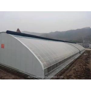 Length 50-120m Double Insulated Commercial Solar Greenhouse for Winter and Cold