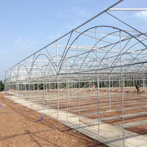 Strong Structure Heavy Duty Plastic Greenhouse / Plastic Tomato Greenhouse