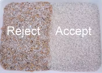 Grain Color Sorter Rice Corn Shape Separator Wheat Color Separating Machine