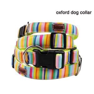 C508 Shenzhen Manufacturer Cute Cheap Price Custom Logo Fashion Sublimation Pet