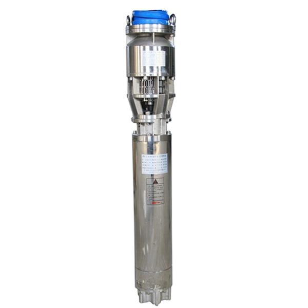 Stainless Steel Submersible Pump / Electric Submersible Pump For Agricultural