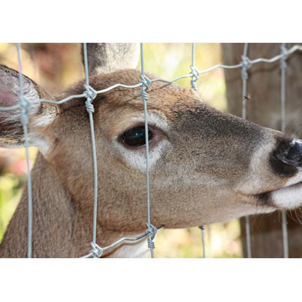 Heavy Duty Fixed Knot Square Deer Mesh Fence Corrosion Resistance Easy