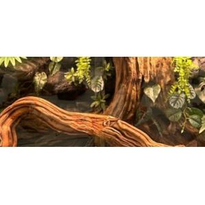 Quality Vivarium Background Environmentally Friendly Material Moisture-proof Simple Operation for sale