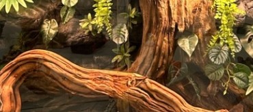 Vivarium Background Environmentally Friendly Material Moisture-proof Simple