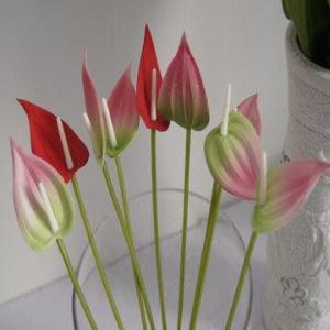 Real Touch PU Small Anthurium, 31cm Total Height