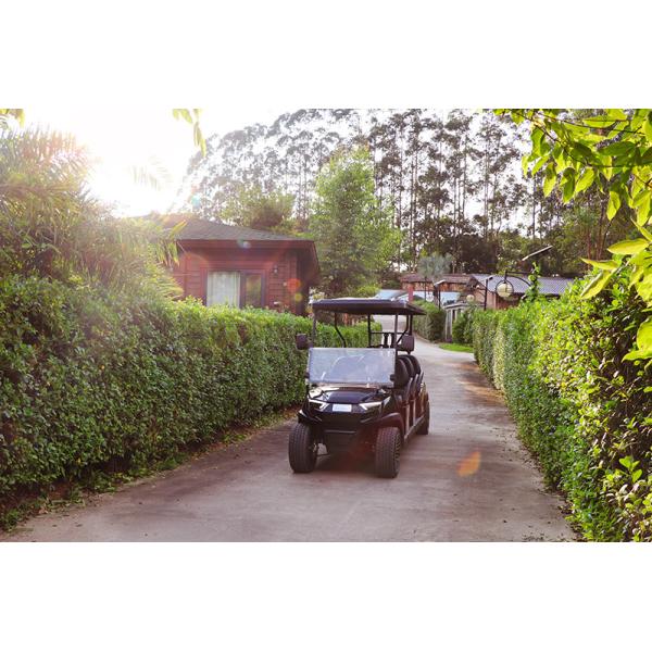 Tourist Sightseeing Electric Golf Cart For 6 Seats 48V Lithium Battery Strong Power and Long Range