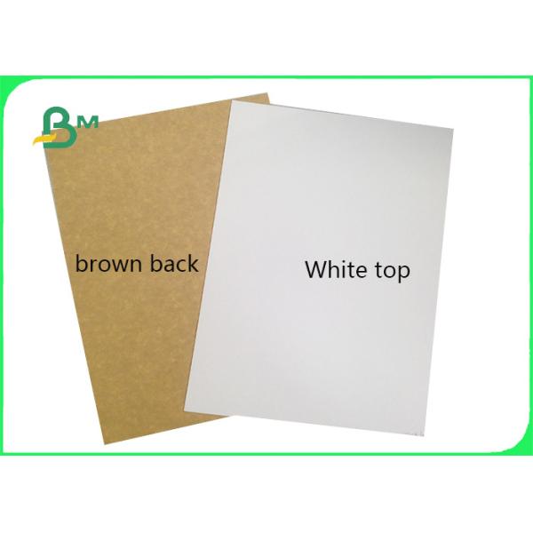 Clay Coated Kraft Back