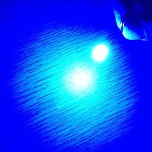 605nm Blue Color 3000mcd 3mm LED Diode Round Head Clear Lens 30 Deg Short Pin