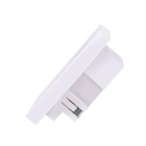 Zigbee Version UK Smart Wall Socket With USB