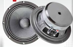 10"midrange speaker ME10G6, 8'' Midrange, 300wrms, 2.4'' voice coil, 4/8 ohms,