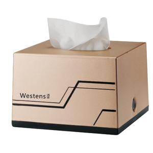 Decorative Facial Tissue Dispenser Box