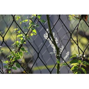7x19 Stainless Steel Wire Rope Mesh For Green Plant Climbing Trellis wire Mesh