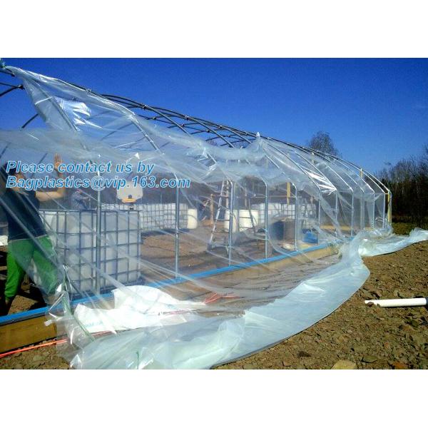 Agricultural PE Film, Agriculture Polyethylene, Film, mulch films, horticultural