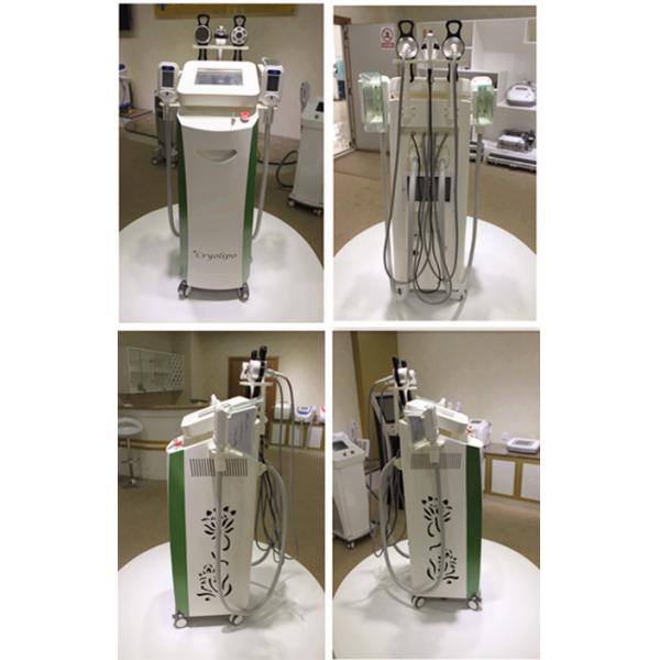Buy fat freeze cryolipolysis machine for whole body treatment at wholesale prices