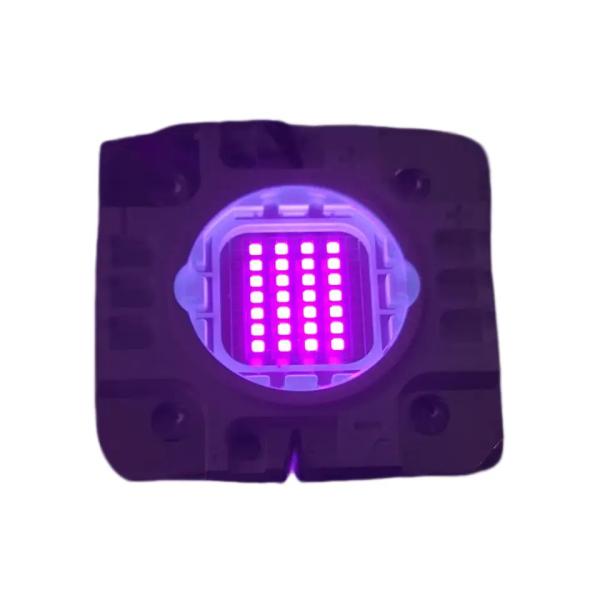 365nm uv flashlight Car painting UV curing LED lamps portable UV drying light for car repairing