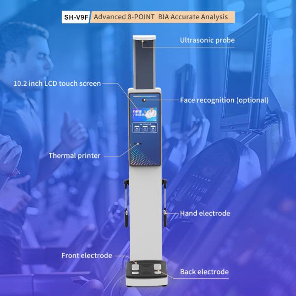 Height Weight Body Composition Analyzer Protein Balance for Spa