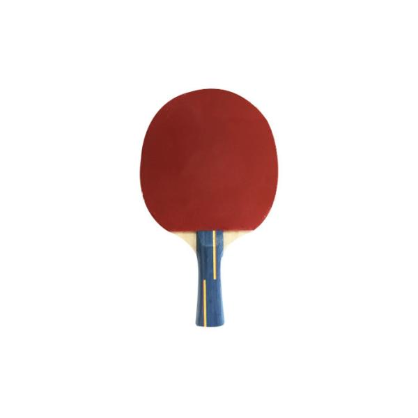 Buy Colour Handle Table Tennis Rackets 6mm Linden Plywood with Rubber and Sponge at wholesale prices