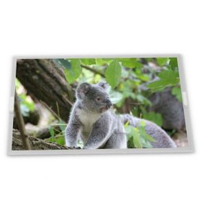 Quality High Quality TM047XDHP02 4.7\&quot; Navigation OLED Display Transparent LCD Modules from Quality Supplier for sale