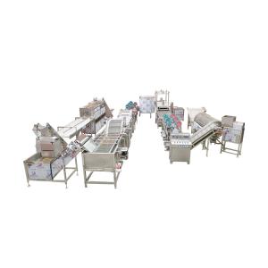 100Kg/H Lay'S Potato Chips Maker Production Complete Video Of Potato Chip