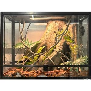 Customizable And Eco Friendly Artificial Tree Stump For Reptile Terrarium