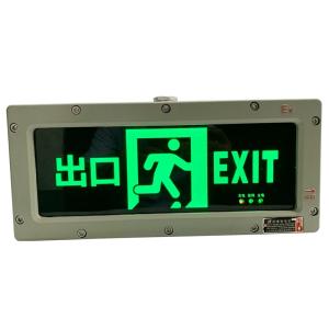 Flameproof Emergency Light with Customised Surface Pattern 3W 220VAC Exit Sign