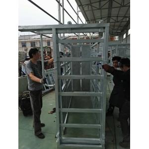 Australia standard galvanized cattle panel fence Cattle Crush,Cattle Chute