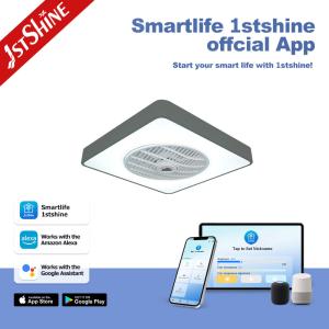 ABS Clear Plastic Blades 2- Square Ceiling Fan with Remote Control and Hidden