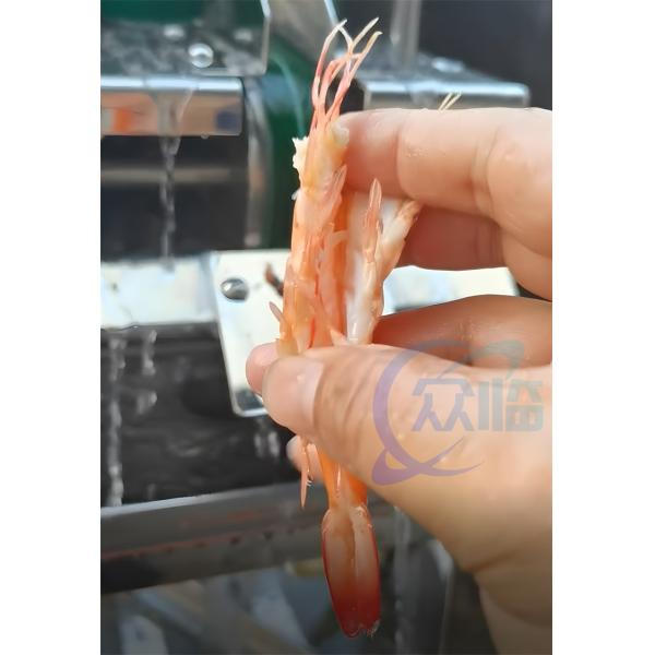 Buy Hot Sale Prawn Cutting Machine Prawn EBI Cutter Prawn Belly Cutter at wholesale prices