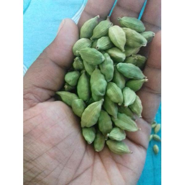 Cardamom Color Sorter Chute Style Mini Color Sorting Machine For Beans Nuts