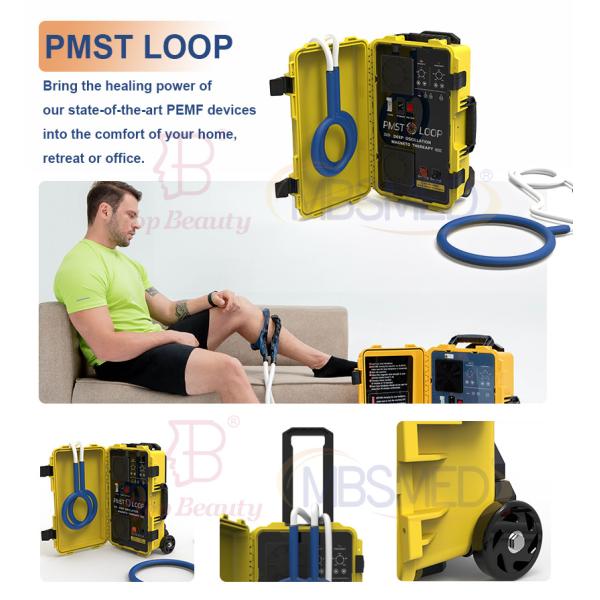 Pmst Double Loop For Human Physical Therapy Physio PEMF Magnetic Therapy Device Machine For Frozen Shoulder Pain Relief