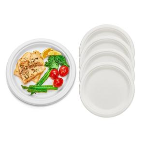 Microwaveable Eco Friendly Packaging Compostable Sugarcane Plates Biodegradable