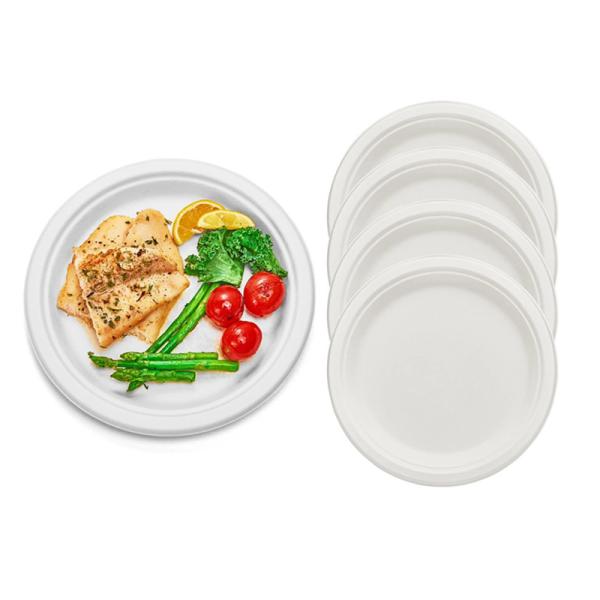 Microwaveable Eco Friendly Packaging Compostable Sugarcane Plates Biodegradable