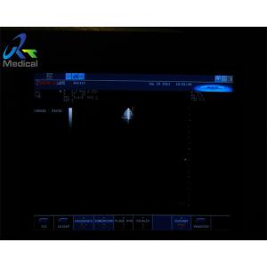 Biosound PA230E 4MHz Cardiac Ultrasound Probe Phased Array Transducer Medical