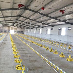 300g Pan Capacity Chicken Farm Equipment 380V 220V Broiler Raising