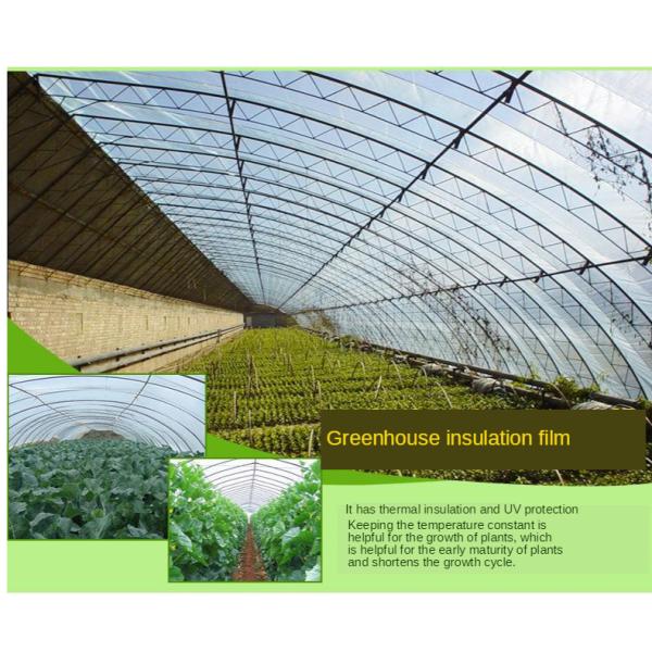 Agricultural PE Film, Agriculture Polyethylene, Film, mulch films, horticultural polyethylene film