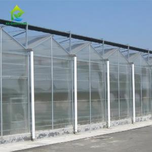 Venlo Commercial Polycarbonate PC Sheet Agricultural Large Tunnel Greenhouse