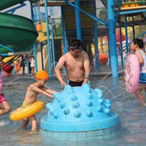 China Fiberglass Water Playground Equipment Hedgehog Spray Product For Amusement Park on sale