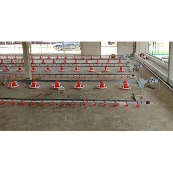 Portable Galvanized 450kg Chain Feeder System Poultry