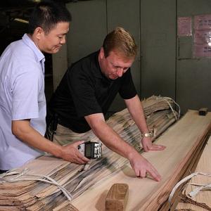 Paneling And Doors Africa Natural Sapele Wood Veneer Flat Cut Crown Grain AAA