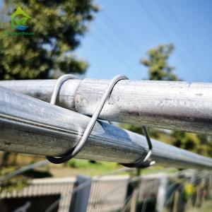 Single Span Commercial Polytunnel Plastic Film Greenhouse Farming